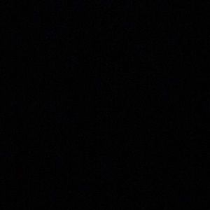 Meet your Posher, Brock